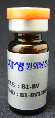 봉독약침 시술